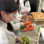 "Students and a teacher preparing fresh vegetables in a school lab."