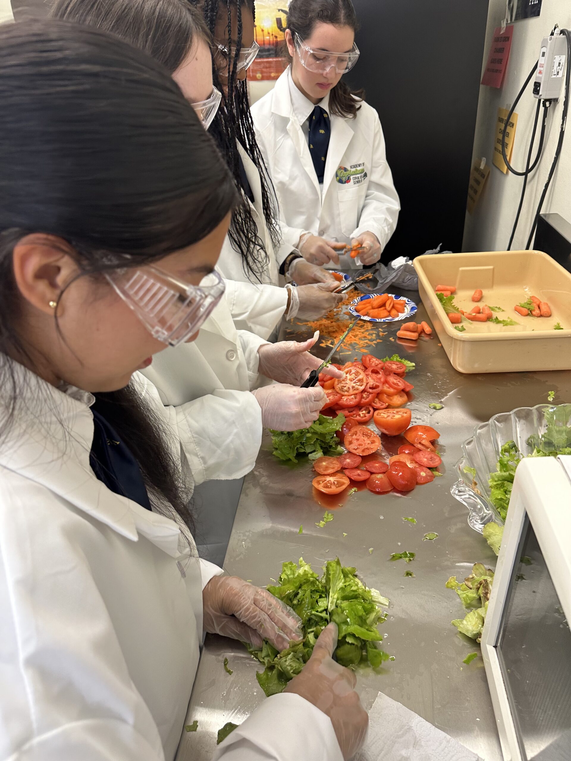 "Students and a teacher preparing fresh vegetables in a school lab."