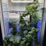 Copy of FullSizeRender 2